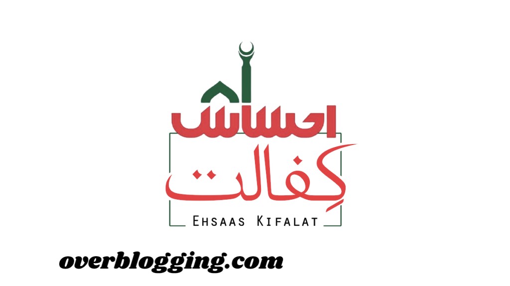 Ehsaas Program 14000 Online Check Complete Guide